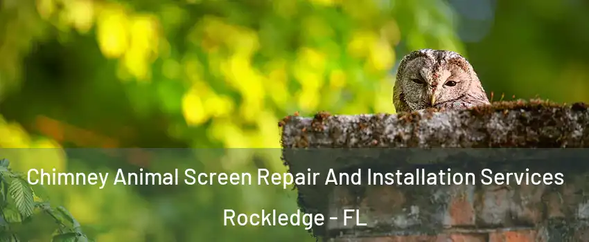  Chimney Animal Screen Repair And Installation Services Rockledge - FL