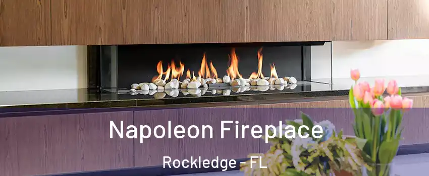  Napoleon Fireplace Rockledge - FL